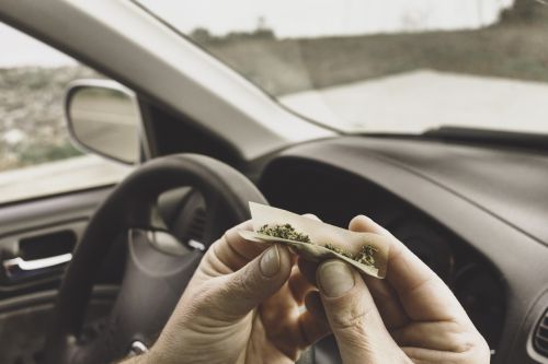 man rolling marijuana in a vehicle concept for Drugged Driving (Marijuana and Prescription Drugs)