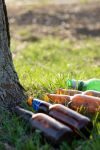Beer bottles at the base of a tree trunk the morning after a party - concept for underage drinking.